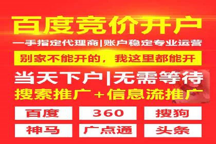 热门SEM运营公司案例深度剖析